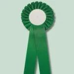 Grøn rosette mod mintgrøn baggrund