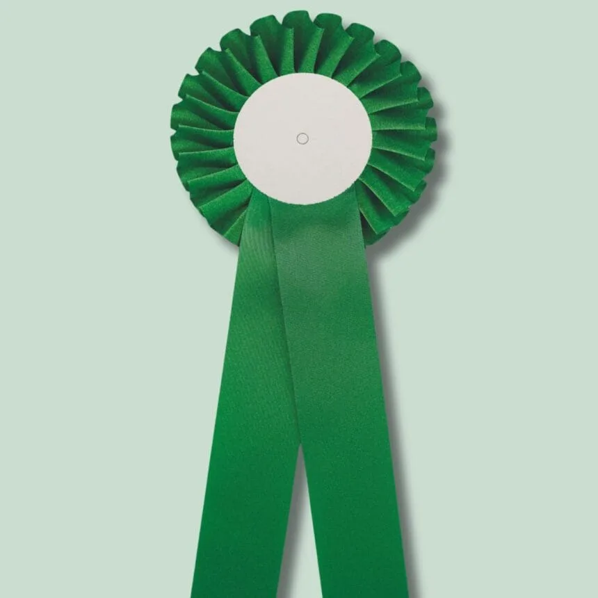 Grøn rosette mod mintgrøn baggrund