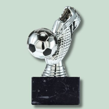 Sølvfodboldpokal med sort base på grøn baggrund.