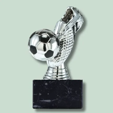Sølvfodboldpokal med sort base på grøn baggrund.