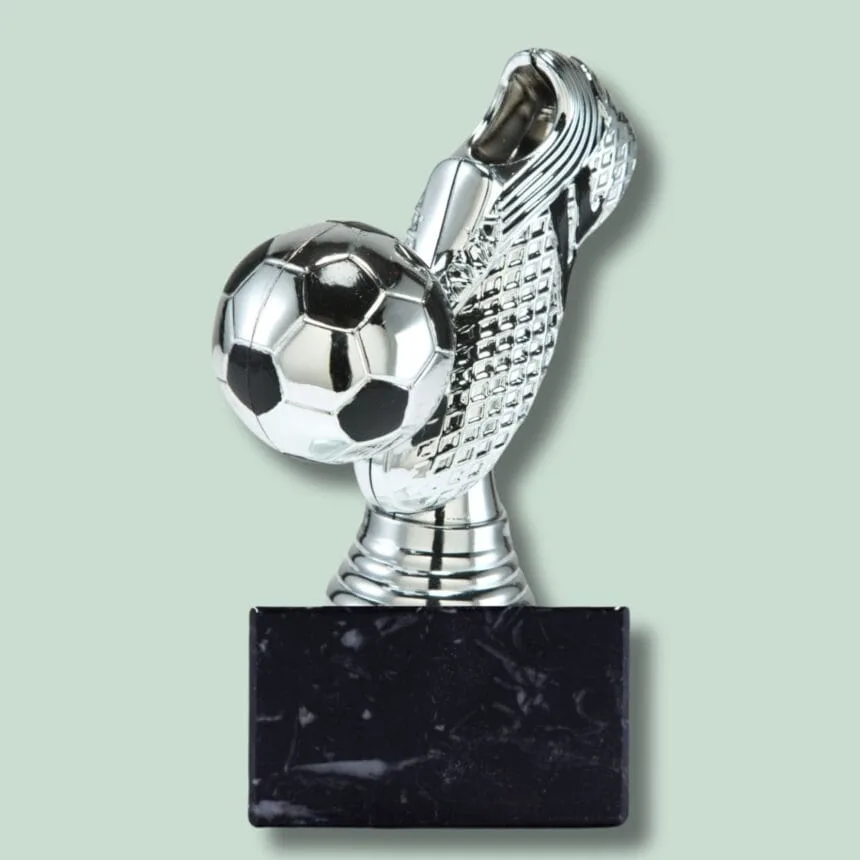 Sølvfodboldpokal med sort base på grøn baggrund.