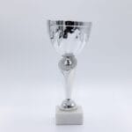 Sølv pokal på hvid baggrund