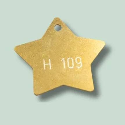 Stjerneformet guldmedalje med tekst H 109