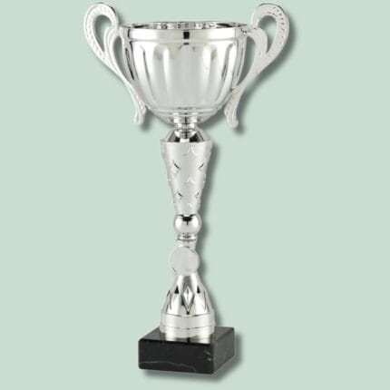 Sølv pokal med sort base på mintgrøn baggrund.