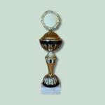Guld- og sølvpokal på grøn baggrund